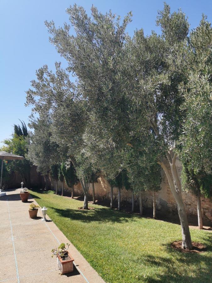 Maison Mimosa, Lovely 3 Bedroom Villa With A Large Pool 에사우이라 외부 사진